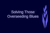 Solving Those Overseeding Blues. Leah A. Brilman, Ph.D. Research Director Seed Research of Oregon .