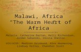 Malawi, Africa “The Warm Heart of Africa” Malaria: Catherine Barton, Kelli Richardson, Jordan Saharski, Olivia Shelton HIV/AIDS: Madison Drinkard, Alex.