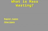 What is Mass Wasting? Rapid types Slow types. Selected Landslides DATE LOCATIONTYPE DEATHS 1556 China Landslides-earthquake triggered 1,000,000 1806 Switzerland.