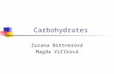 Carbohydrates Zuzana Bittnerová Magda Vičíková. Carbohydrates in nature living organism food wood, paper and cotton DNA.