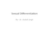 Sexual Differentiation By - dr shafali singh. Learning objectives Outline the role of chromosomes, hormones, and related factors in sex determination.
