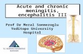 Prof Dr Meral Sonmezoglu Yeditepe University Hospital Acute and chronic meningitis, encephalitis III.