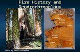Fire History and Dendrochronology Photo by Daniel Heffernan.