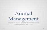Animal Management Objective 5.03: Exemplify reproductive management practices.