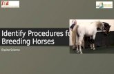 Identify Procedures for Breeding Horses Equine Science.