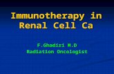 Immunotherapy in Renal Cell Ca F.Ghadiri M.D Radiation Oncologist.