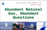 The voice and choice of public gas. American Public Gas AssociationThe Voice and Choice of Public Gas.