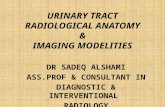 URINARY TRACT RADIOLOGICAL ANATOMY & IMAGING MODELITIES DR SADEQ ALSHAMI ASS.PROF & CONSULTANT IN DIAGNOSTIC & INTERVENTIONAL RADIOLOGY.