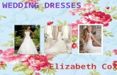This presentation is about Wedding Dresses. There is going to be some gorgeous ones that might be your dream dress.