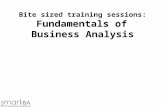 Bite sized training sessions: Fundamentals of Business Analysis.
