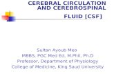 CEREBRAL CIRCULATION AND CEREBROSPINAL FLUID [CSF] Sultan Ayoub Meo MBBS, PGC Med Ed, M.Phil, Ph.D Professor, Department of Physiology College of Medicine,