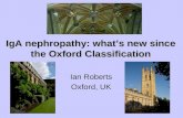 IgA nephropathy: what’s new since the Oxford Classification Ian Roberts Oxford, UK.