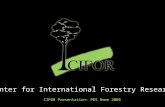 Center for International Forestry Research CIFOR Presentation: PES Rome 2005.