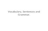 Vocabulary, Sentences and Grammar.. VOCABULARY (REVIEW)