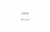 COPD Review. Progressive Syndrome Expiratory airflow obstruction Chronic airway and lung parenchyma inflammation.