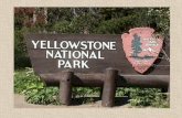 Yellowstone National Park is America's first national park, established by the US Congress and signed into law by President Ulysses S. Grant on March.