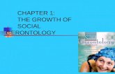 Copyright © Allyn & Bacon 2008 CHAPTER 1: THE GROWTH OF SOCIAL GERONTOLOGY.