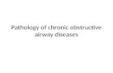 Pathology of chronic obstructive airway diseases.
