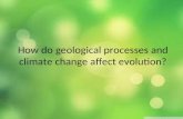 How do geological processes and climate change affect evolution?