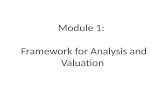 Module 1: Framework for Analysis and Valuation. Business Activities.