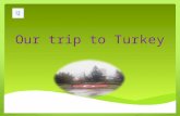 On March 15 th our group started its trip to Turkey and the first stop was Istanbul. Personally I think that Istanbul’s beauty is its liveliness. There.