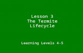 Lesson 3 The Termite Lifecycle Learning Levels 4-5.