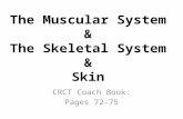 The Muscular System & The Skeletal System & Skin CRCT Coach Book: Pages 72-75.