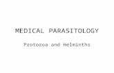 MEDICAL PARASITOLOGY Protozoa and Helminths. INFORMATION EMPHASIS Agent ID and general importance Epidemiology (transmission, distribution, etc) Agent.