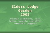 Elders Lodge Garden 2005 asehmaa (tobacco), corn, beans, squash, radishes, tomatoes, peppers.
