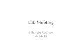 Lab Meeting Michele Rodney 4/14/15. Projects I. Receptor Synaptic GRASP UAS-CG4356-4HA-15GS-sp11 flies (muscarinic Acetylcholine Receptor, A-type) II.