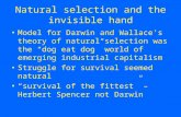 Natural selection and the invisible hand Model for Darwin and Wallace’s theory of natural selection was the “dog eat dog” world of emerging industrial.
