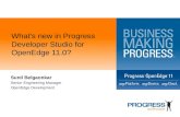 What’s new in Progress Developer Studio for OpenEdge 11.0? Sunil Belgaonkar Senior Engineering Manager OpenEdge Development.