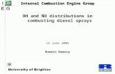 Internal Combustion Engine Group OH and NO distributions in combusting diesel sprays 13 June 2006 Romain Demory.