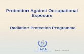 IAEA International Atomic Energy Agency Protection Against Occupational Exposure Radiation Protection Programme Day 9 – Lecture 1.