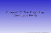 © 2010 McGraw-Hill Higher Education. All rights reserved. Chapter 17: The Thigh, Hip, Groin, and Pelvis.