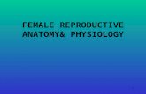 1 FEMALE REPRODUCTIVE ANATOMY& PHYSIOLOGY. 2 Objectives: by the end of this session, students will be able to: Identify parts of female reproductive system.