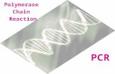 Polymerase Chain Reaction PCR What is PCR?  An in vitro process that detects, identifies, and copies (amplifies) a specific piece of DNA in a biological.