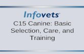 C15 Canine: Basic Selection, Care, and Training. Lesson Outline  Finding the Right Dog  Types of Dogs  Selecting a Mixed Breed Dog  Selecting an Adult.