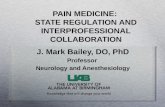 J. Mark Bailey, DO, PhD Professor Neurology and Anesthesiology.