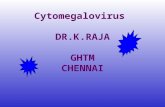 Cytomegalovirus DR.K.RAJA GHTM CHENNAI. LEARNING OBJECTIVES CMV IN IMMUNO COMPETENT PATIENTS CMV IN IMMUNO COMPROMISED PATIENTS CMV IN PREGNANT WOMEN.