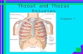 Throat and Thorax Injuries Chapter 7. Objectives Understand the basic anatomy of the throat and thorax. Understand how to prevent injuries of the throat.