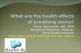 Feroza Daroowalla, MD, MPH Division of Pulmonary Medicine Stony Brook University These slides were derived from the EPA website.