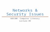 Networks & Security Issues ADE100- Computer Literacy Lecture 09.