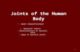 1 Joints of the Human Body Joint Classification Synovial Joints – Characteristics of synovial joint – Types of synovial joints.