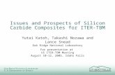 Issues and Prospects of Silicon Carbide Composites for ITER-TBM Yutai Katoh, Takashi Nozawa and Lance Snead Oak Ridge National Laboratory For presentation.