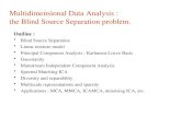 Multidimensional Data Analysis : the Blind Source Separation problem. Outline : Blind Source Separation Linear mixture model Principal Component Analysis.