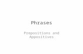 Phrases Prepositions and Appositives. Phrases A group of related words Examples: sitting at home lost in thought seared by the heat.