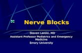 Nerve Blocks Steven Lanski, MD Assistant Professor Pediatrics and Emergency Medicine Emory University.
