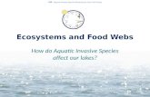 Ecosystems and Food Webs How do Aquatic Invasive Species affect our lakes? AIS · Aquatic Invasive Species Education for Otter Tail County.