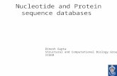 Nucleotide and Protein sequence databases Dinesh Gupta Structural and Computational Biology Group ICGEB.